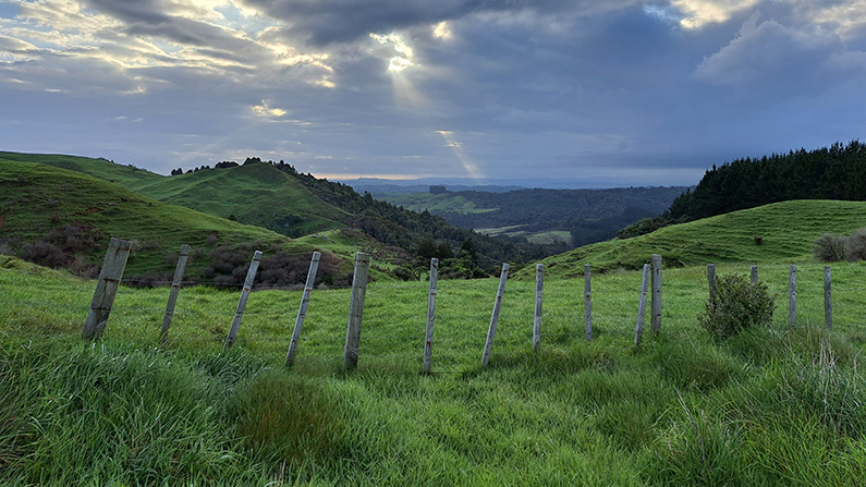Waikato Region Te Araroa