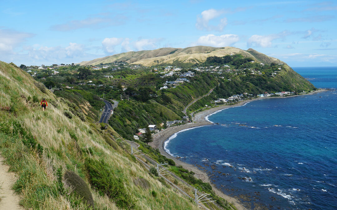 Te Whanganui a Tara – Wellington