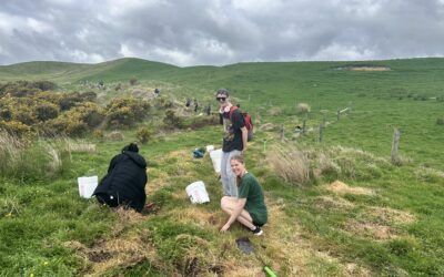 Tree planting and trail maintenance go hand in hand